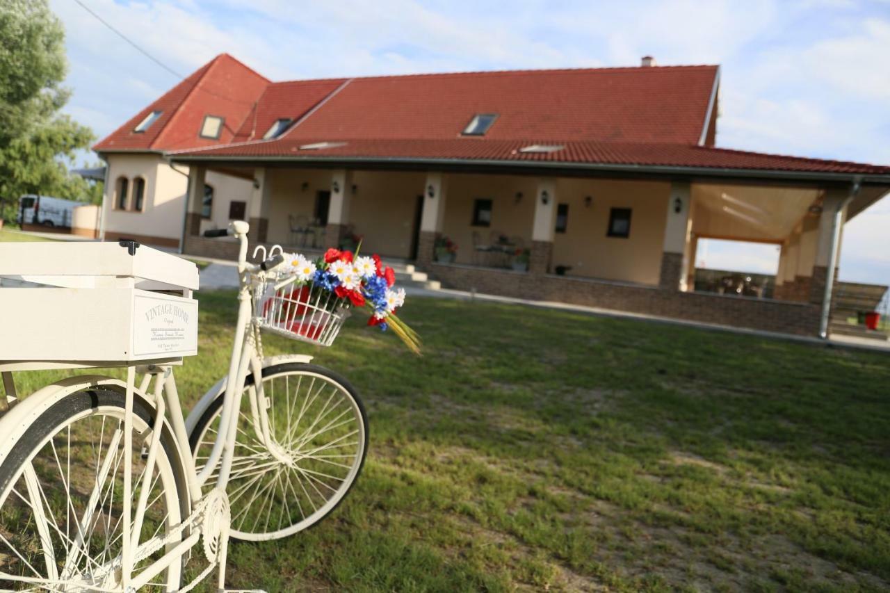 Tiszavilag Pihenohaz Hotel Tiszakécske Екстериор снимка